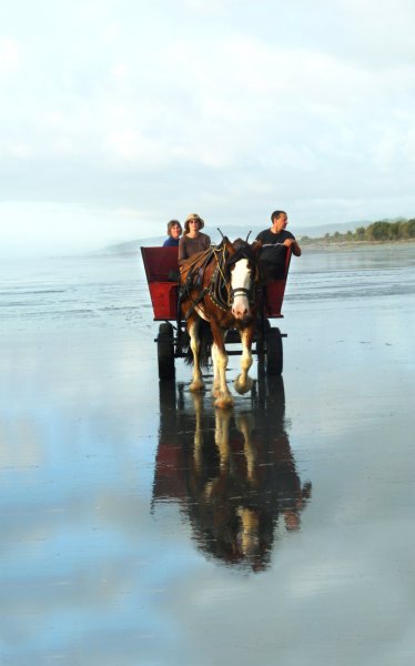 Horse & Wagons Tours